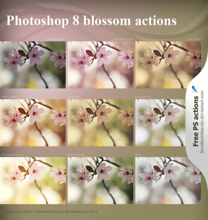 Blossom Actions