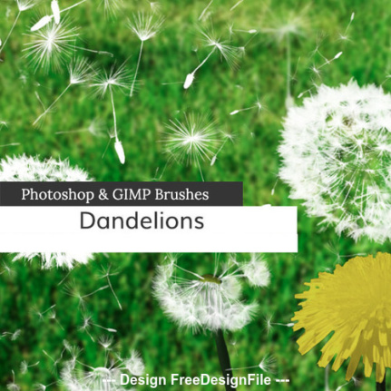 Dandelions And Seeds Brushes