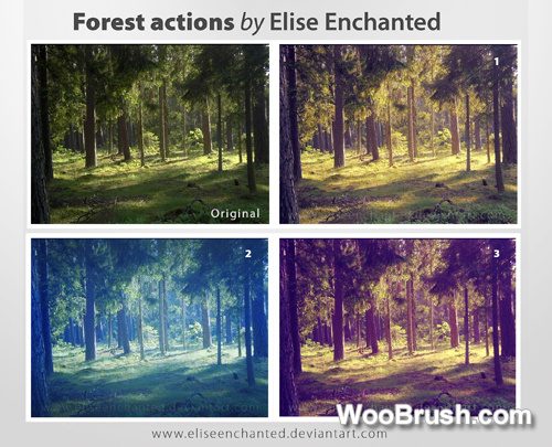 Forest Actions